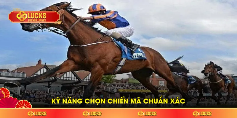Kỹ năng chọn chiến mã chuẩn xác
